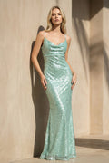 Sequins Cowl Neck Maxi Dress in Mint Green