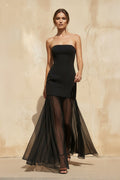 Strapless Fitted Sheer Maxi Dress in Black
